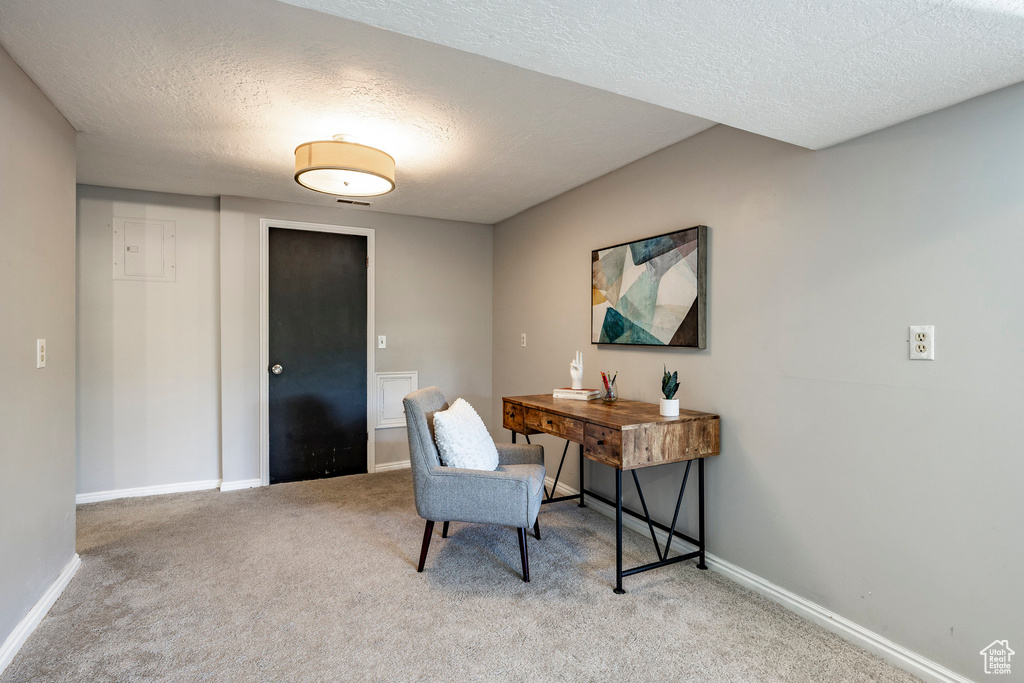 Carpeted home office with a textured ceiling