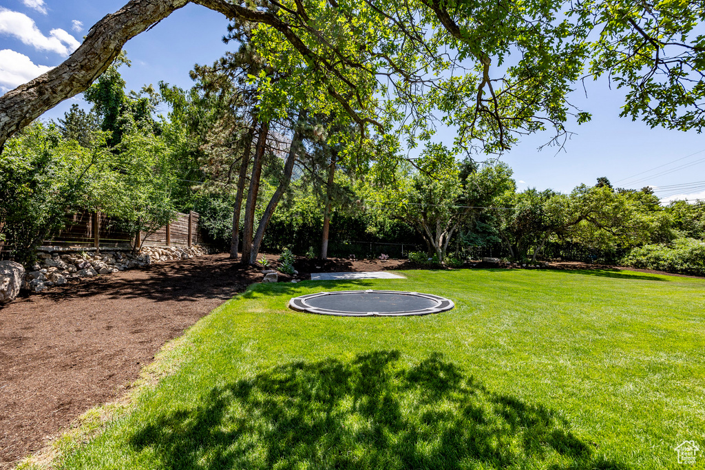 View of yard featuring a trampoline