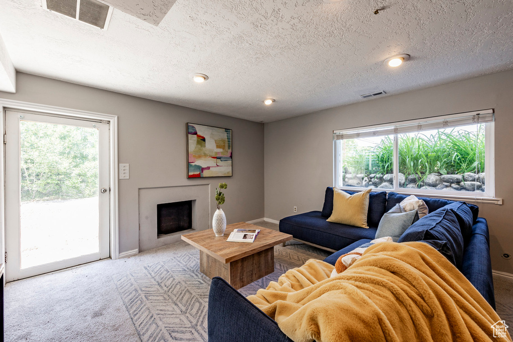 Living room featuring a healthy amount of sunlight, a textured ceiling, and carpet floors