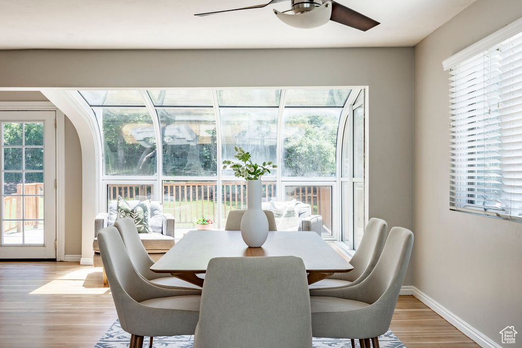 Dining area with ceiling fan and light wood-type flooring