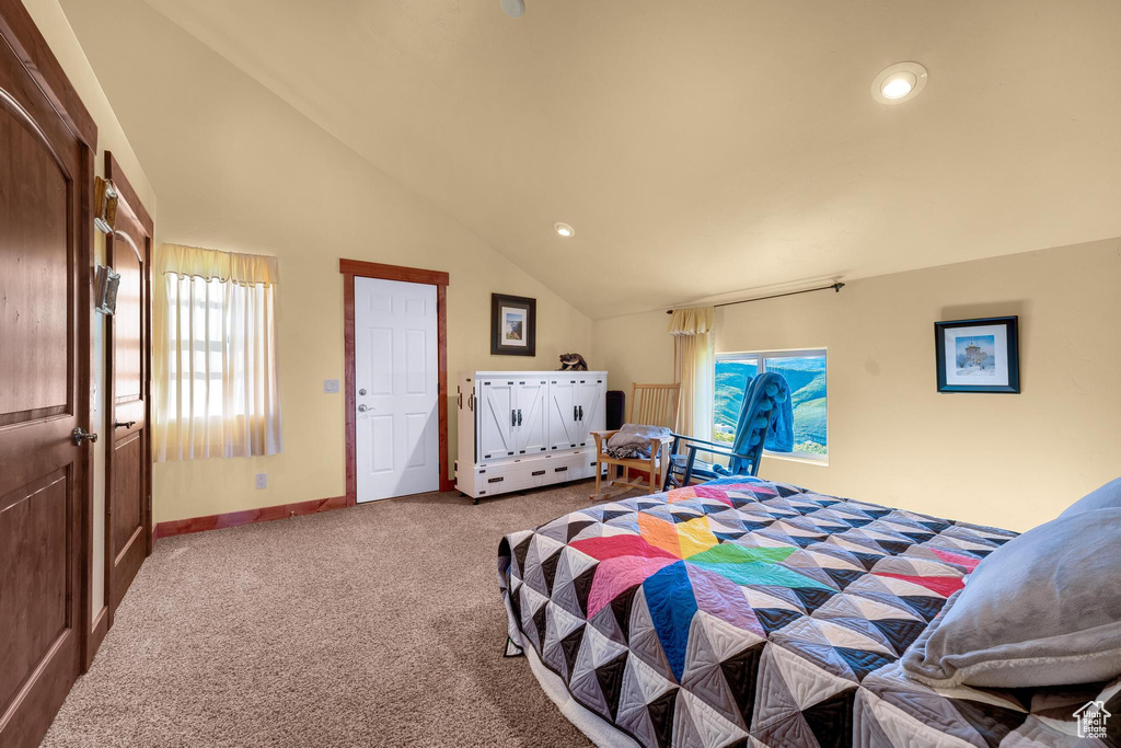 Carpeted bedroom featuring high vaulted ceiling