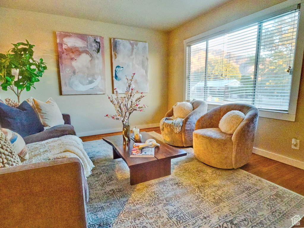 Living room featuring hardwood / wood-style floors