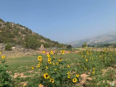 View of yard with a mountain view