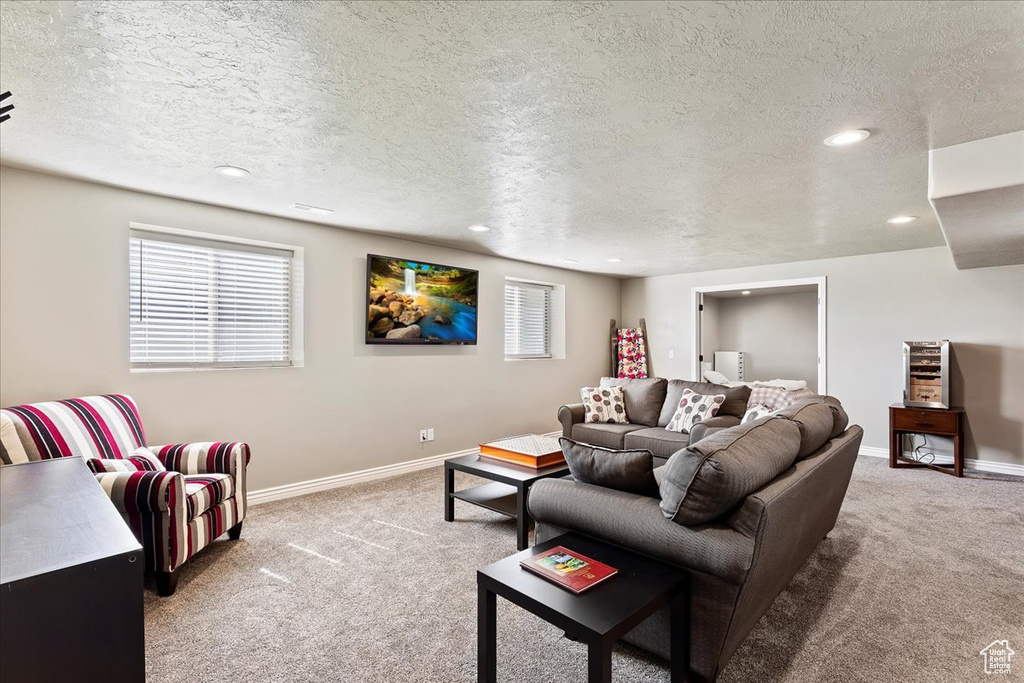 Living room with carpet and a textured ceiling