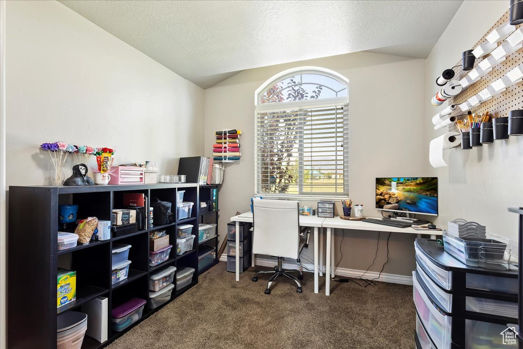 Office with a textured ceiling and dark colored carpet