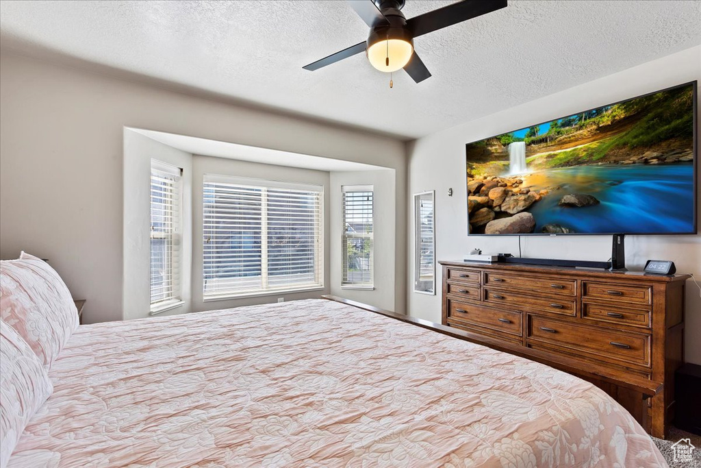 Bedroom with ceiling fan, a textured ceiling, and multiple windows