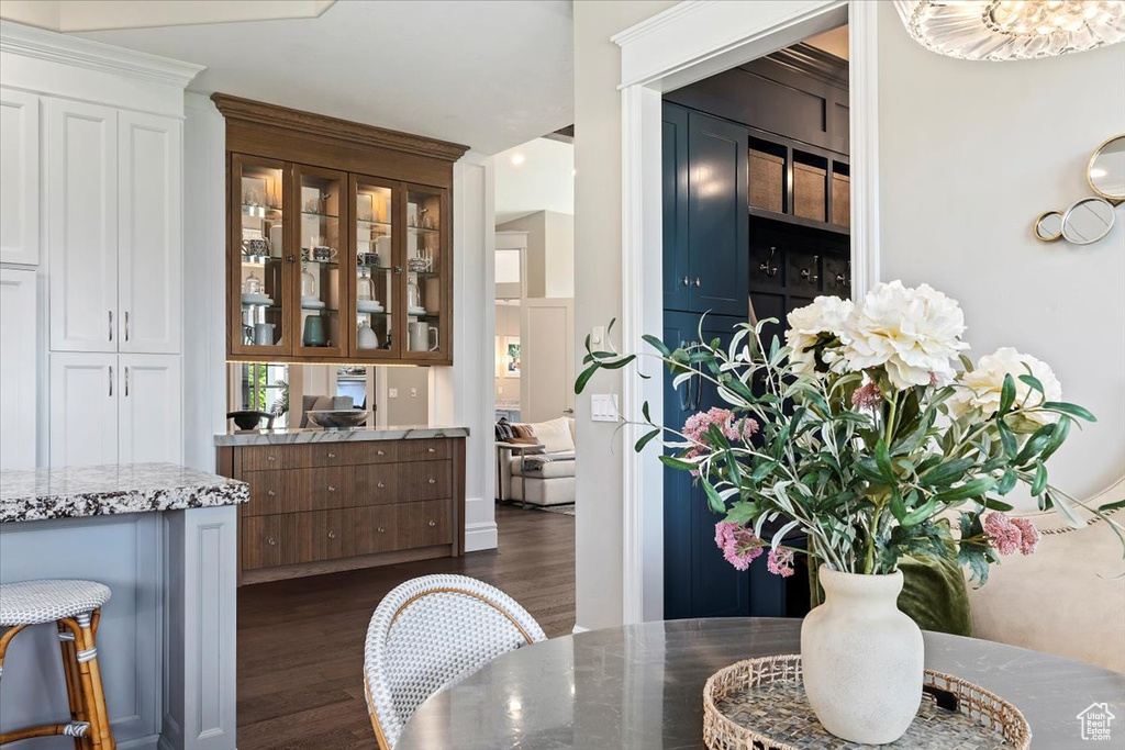 Bar featuring dark wood-type flooring, white cabinets, and light stone countertops