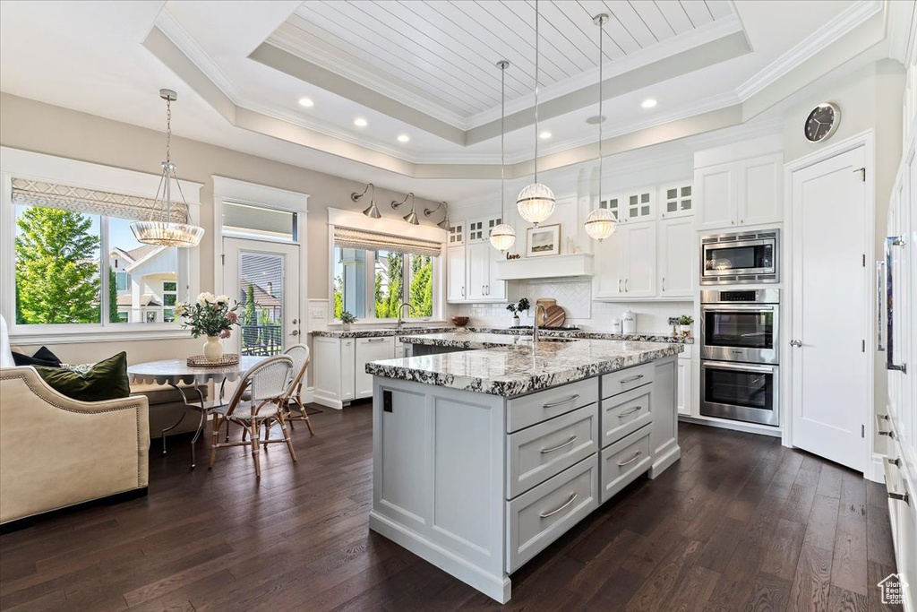 Kitchen featuring decorative light fixtures, appliances with stainless steel finishes, a tray ceiling, and dark hardwood / wood-style floors