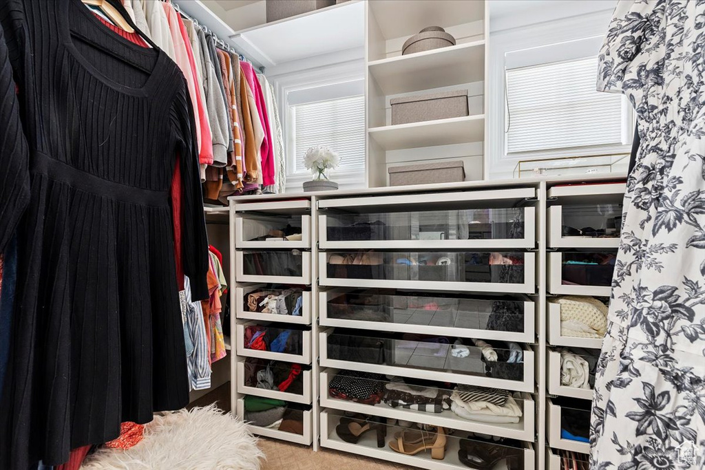 Spacious closet with carpet flooring