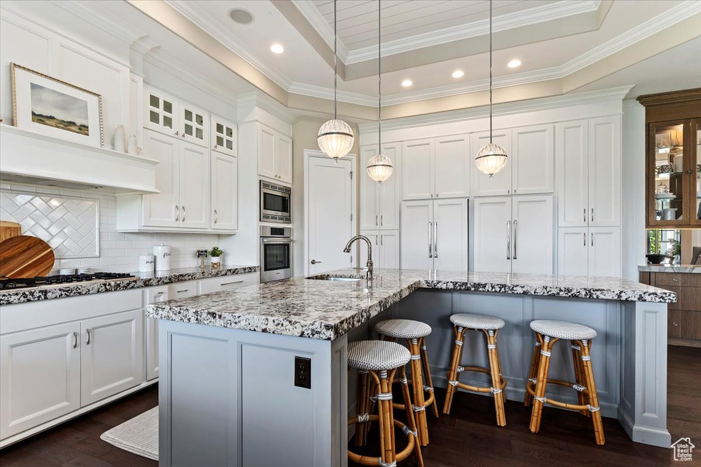 Kitchen featuring a center island with sink, built in appliances, a raised ceiling, dark hardwood / wood-style flooring, and sink