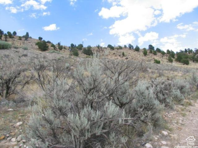 View of local wilderness with a rural view