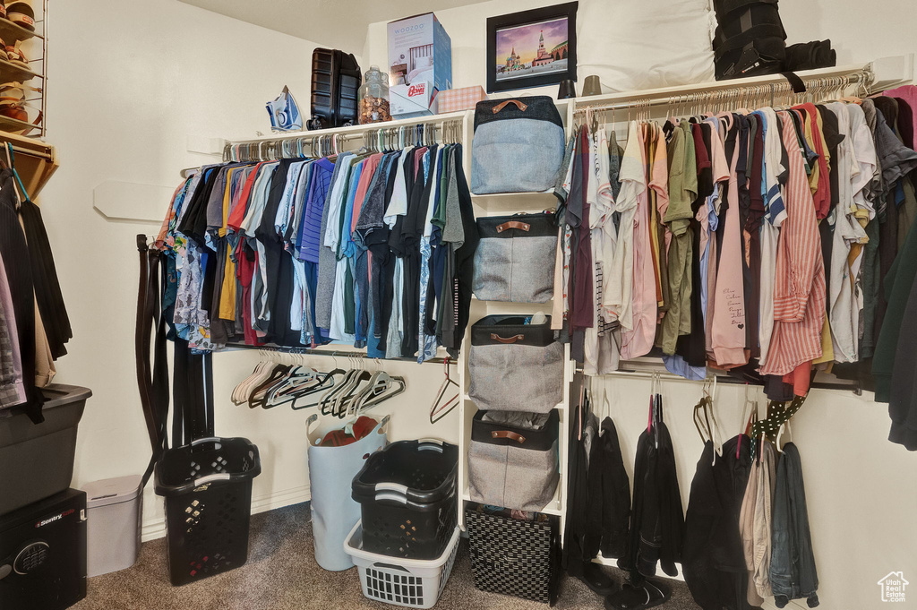 Walk in closet featuring carpet