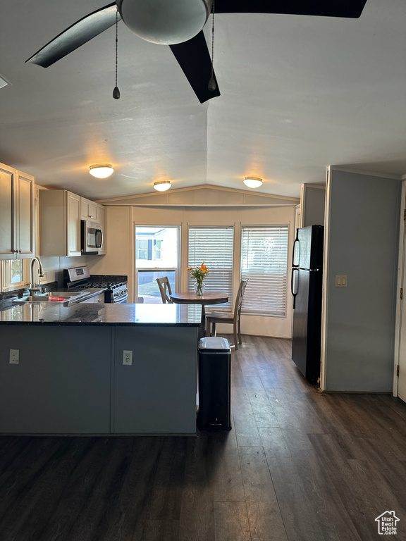 Kitchen with vaulted ceiling, dark hardwood / wood-style flooring, kitchen peninsula, stainless steel appliances, and sink