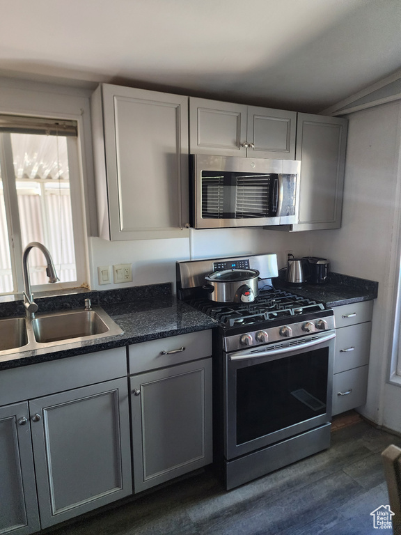 Kitchen with gray cabinetry, stainless steel appliances, sink, and dark wood-type flooring