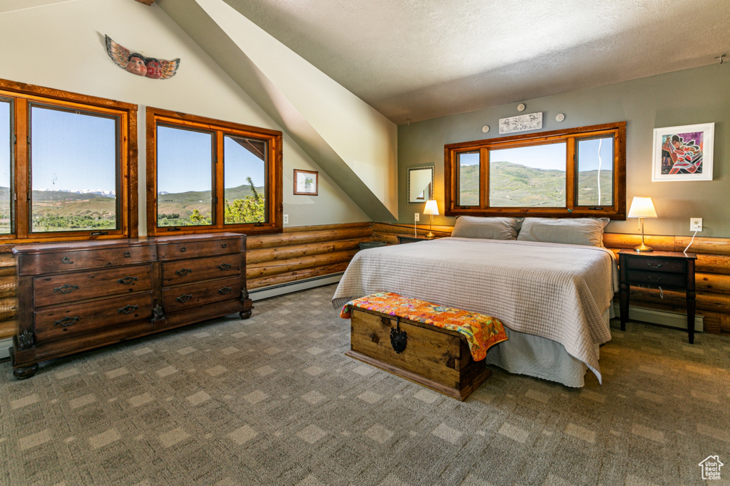 Carpeted bedroom featuring a baseboard radiator, a textured ceiling, and lofted ceiling