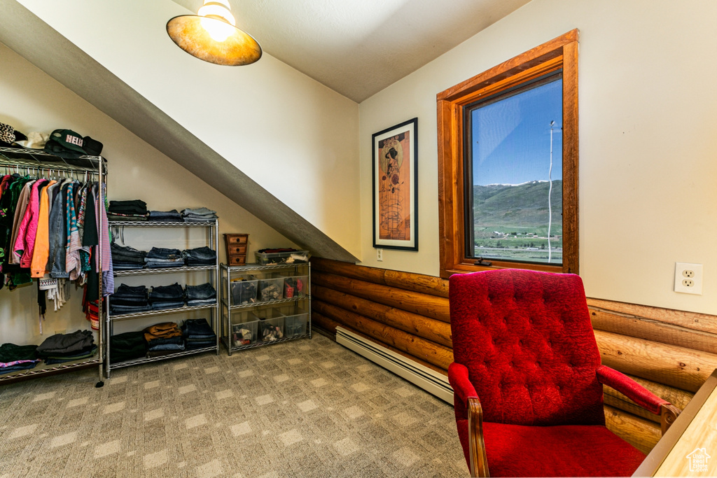 Spacious closet with carpet floors, a baseboard radiator, and vaulted ceiling