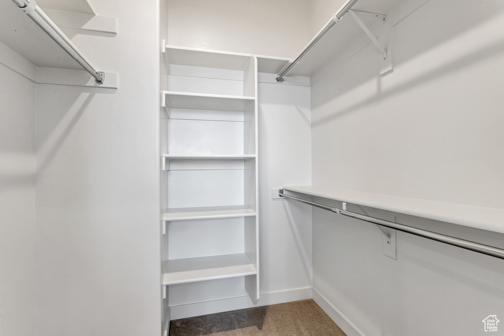 Spacious closet featuring carpet flooring