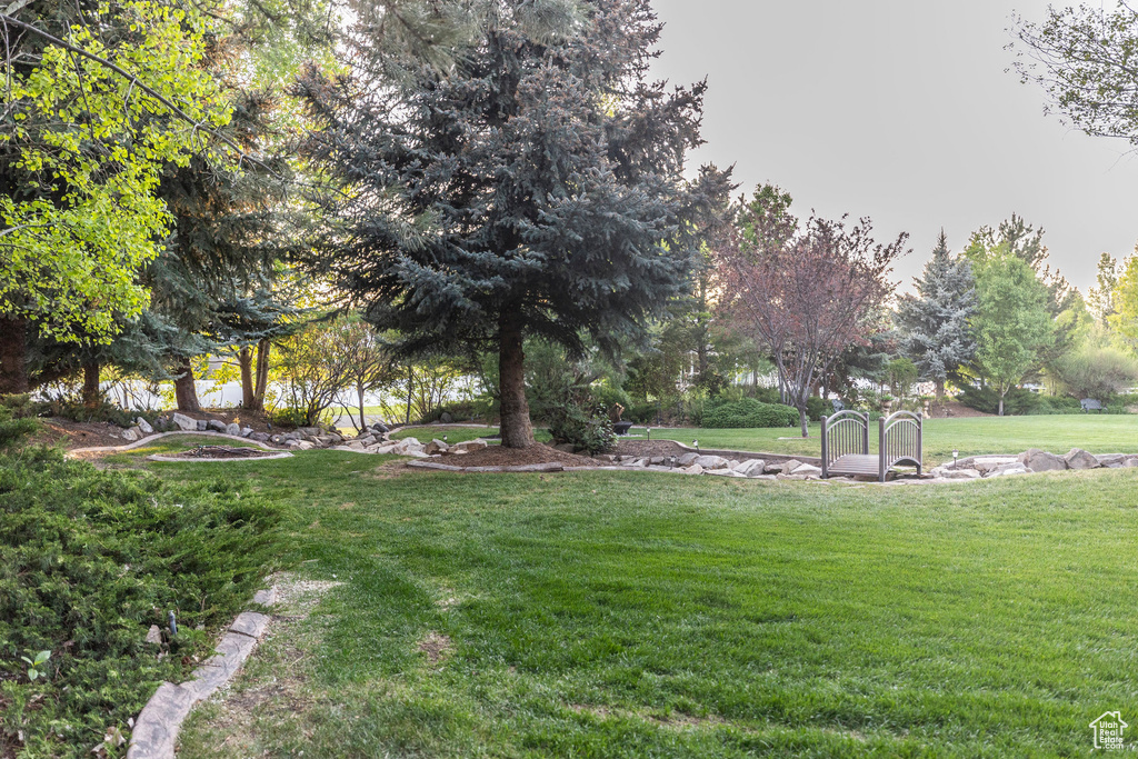 View of grassy yard