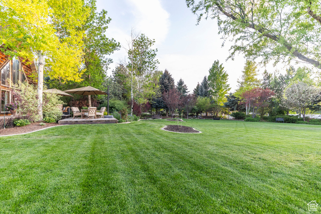 View of green lawn featuring a patio