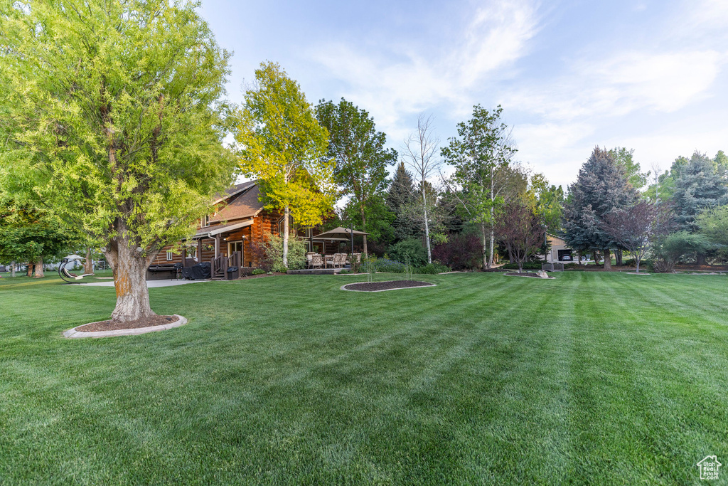 View of green lawn
