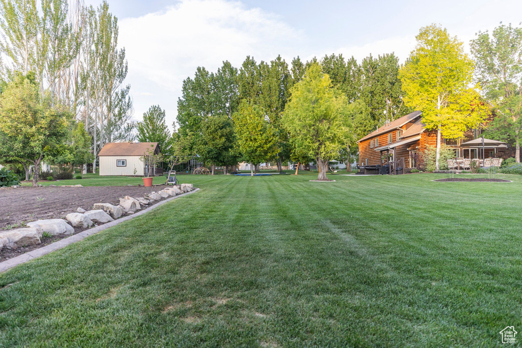View of green lawn
