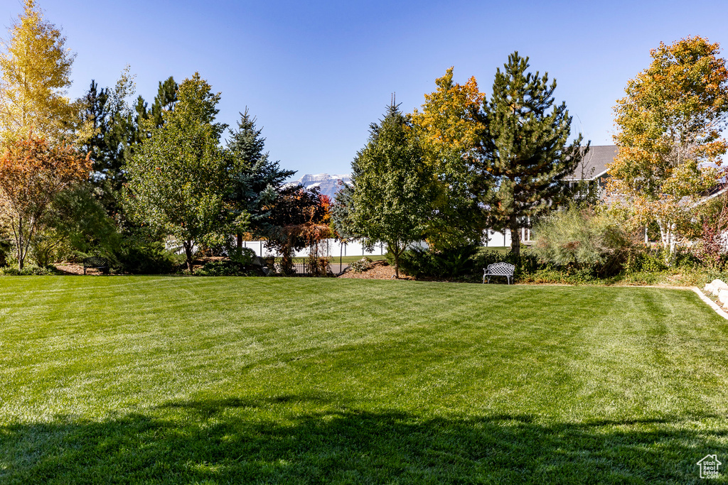 View of green lawn