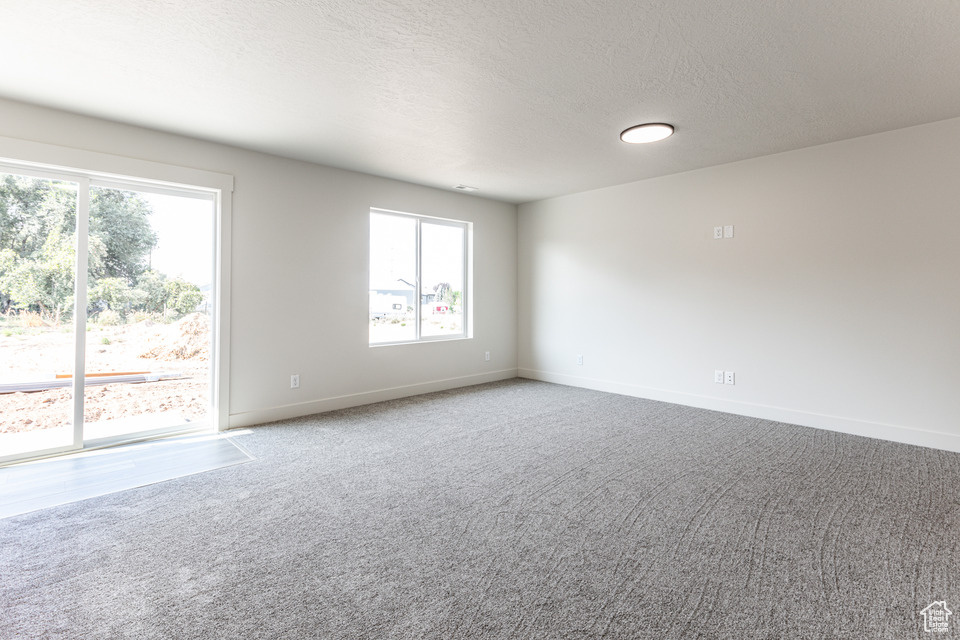 Carpeted spare room with a textured ceiling and a healthy amount of sunlight