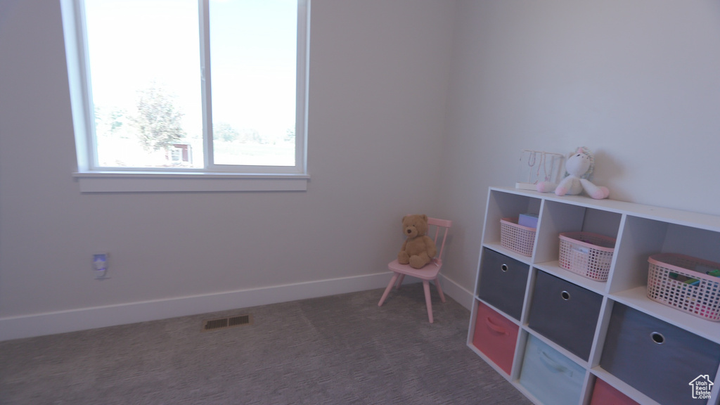 Recreation room featuring dark colored carpet