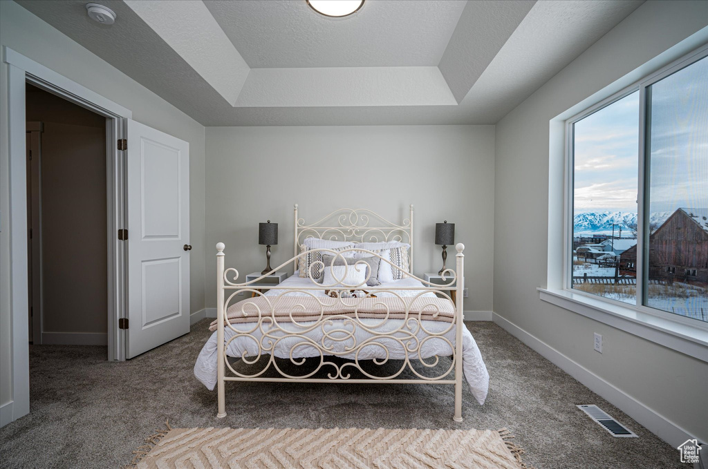 Bedroom featuring carpet and a raised ceiling