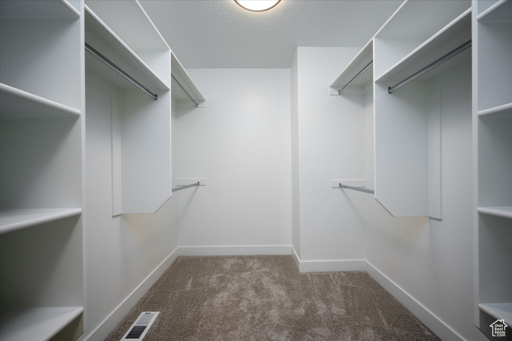 Spacious closet featuring carpet flooring