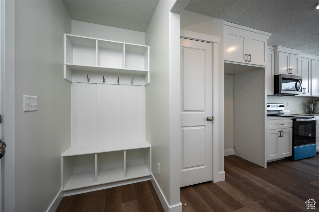 Mudroom featuring dark hardwood / wood-style floors