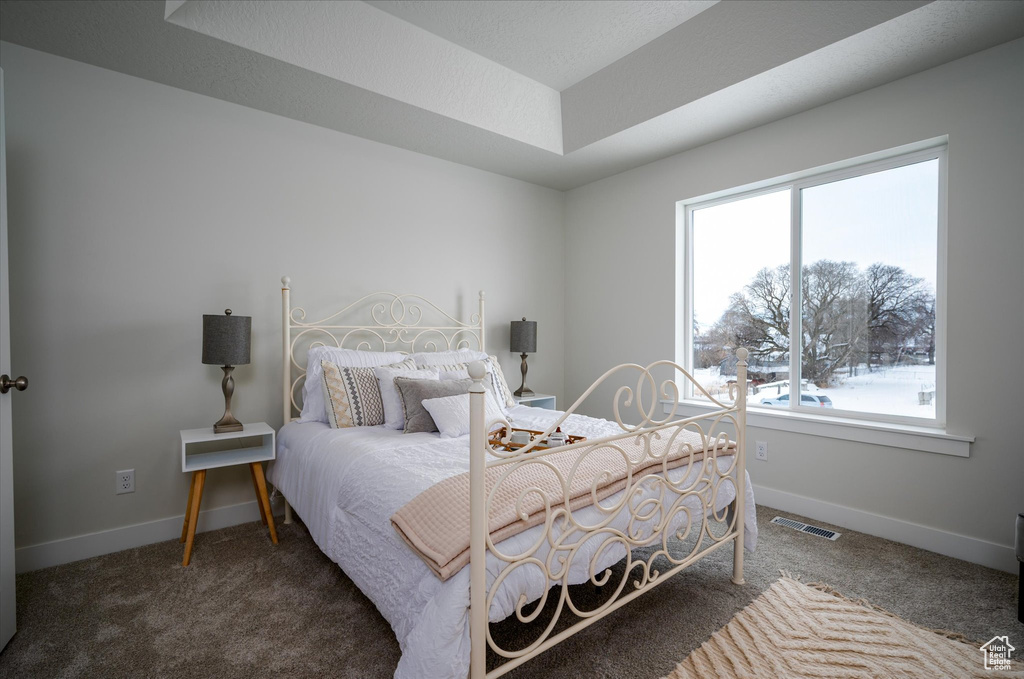 Bedroom featuring dark colored carpet, a raised ceiling, and multiple windows