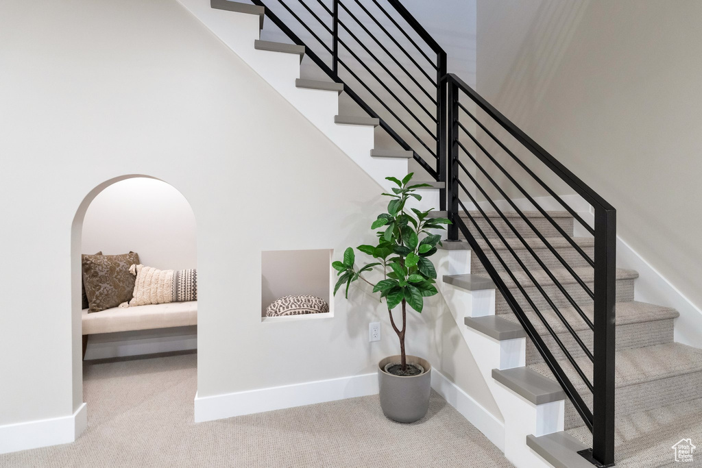 Staircase with carpet