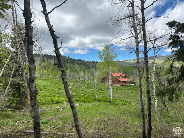 View of mountain view