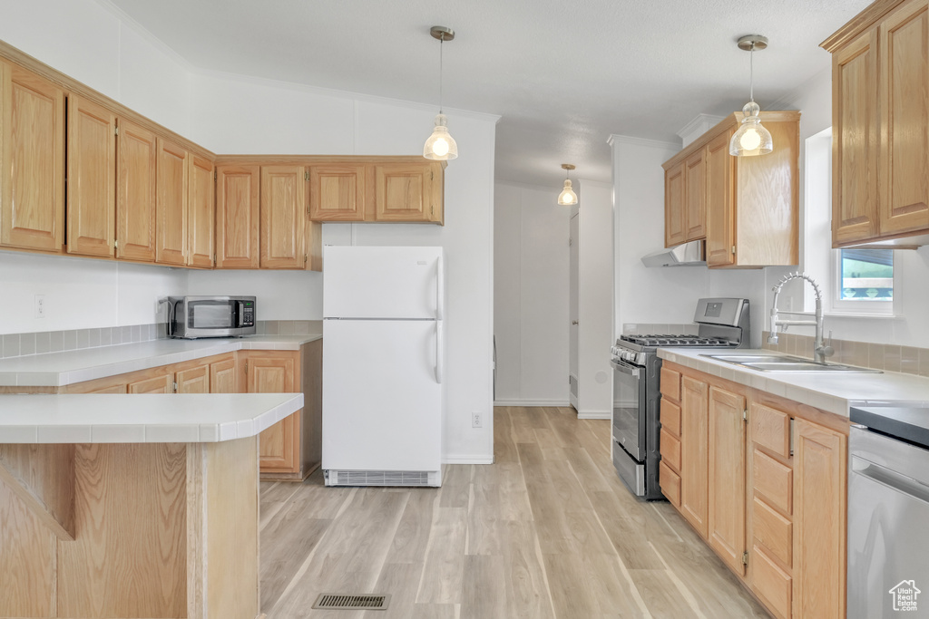 Kitchen featuring hanging light fixtures, light wood-type flooring, appliances with stainless steel finishes, ventilation hood, and sink