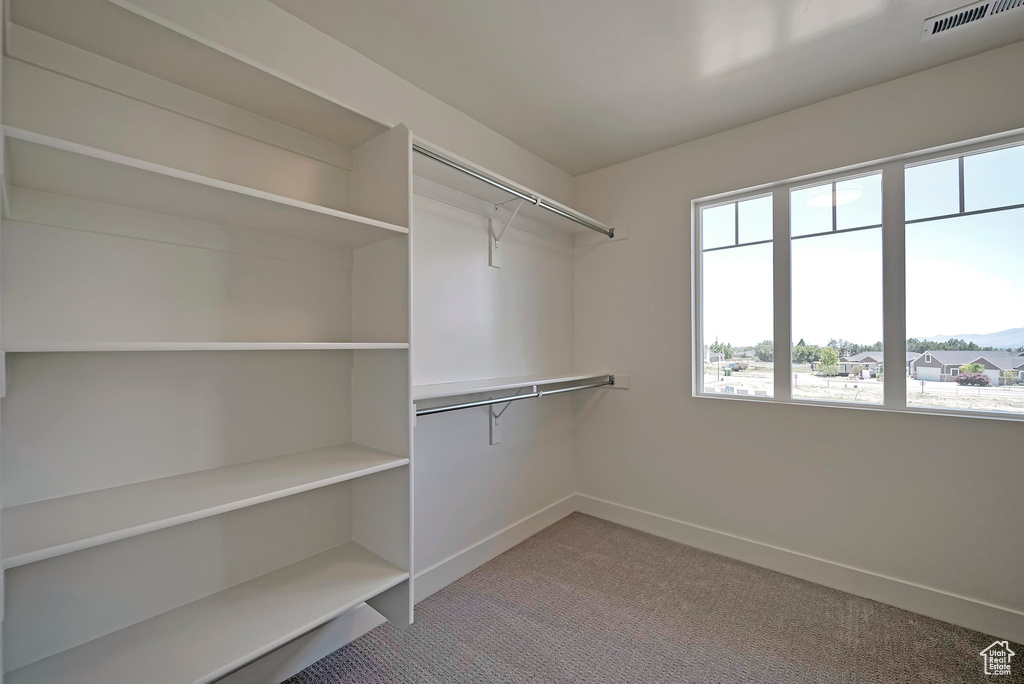 Spacious closet featuring carpet flooring