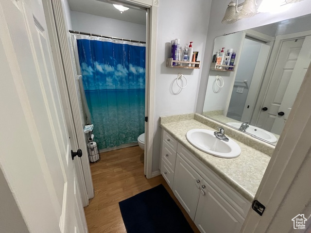 Bathroom featuring vanity, toilet, and hardwood / wood-style floors