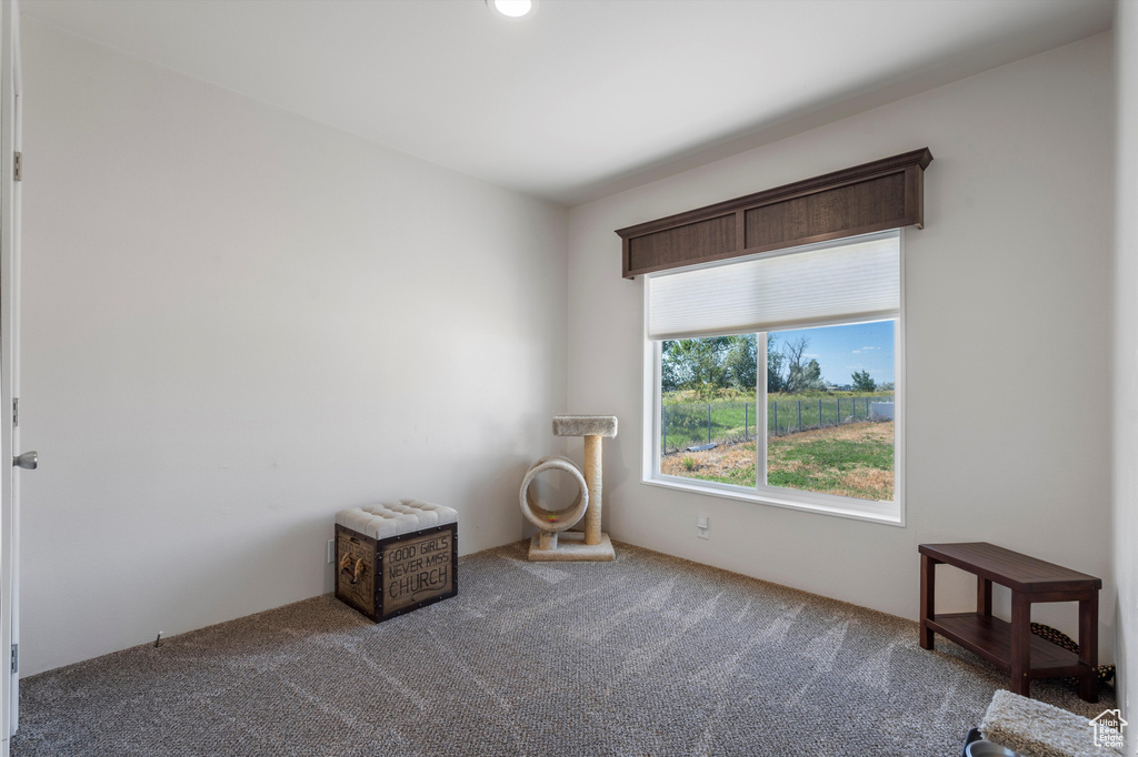 Unfurnished room featuring carpet floors