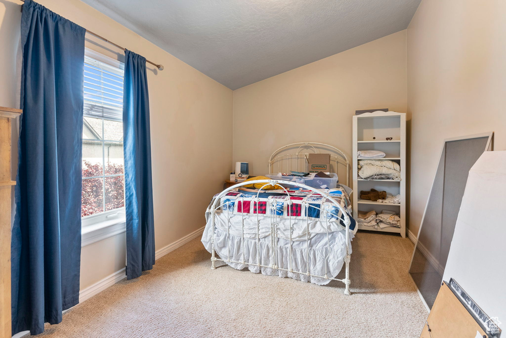 Bedroom with carpet floors and lofted ceiling