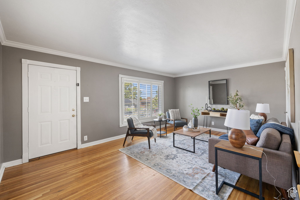 Living room with ornamental molding and light hardwood / wood-style flooring