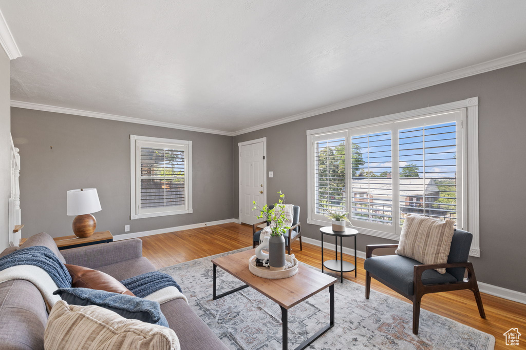 Living room with crown molding and hardwood / wood-style flooring