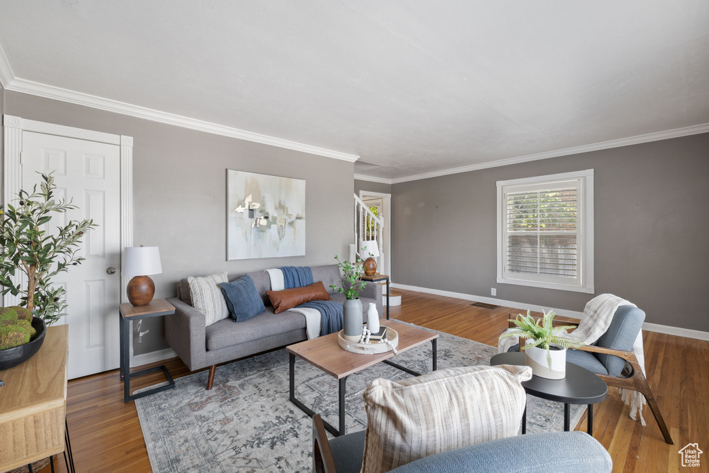 Living room featuring crown molding and wood-type flooring