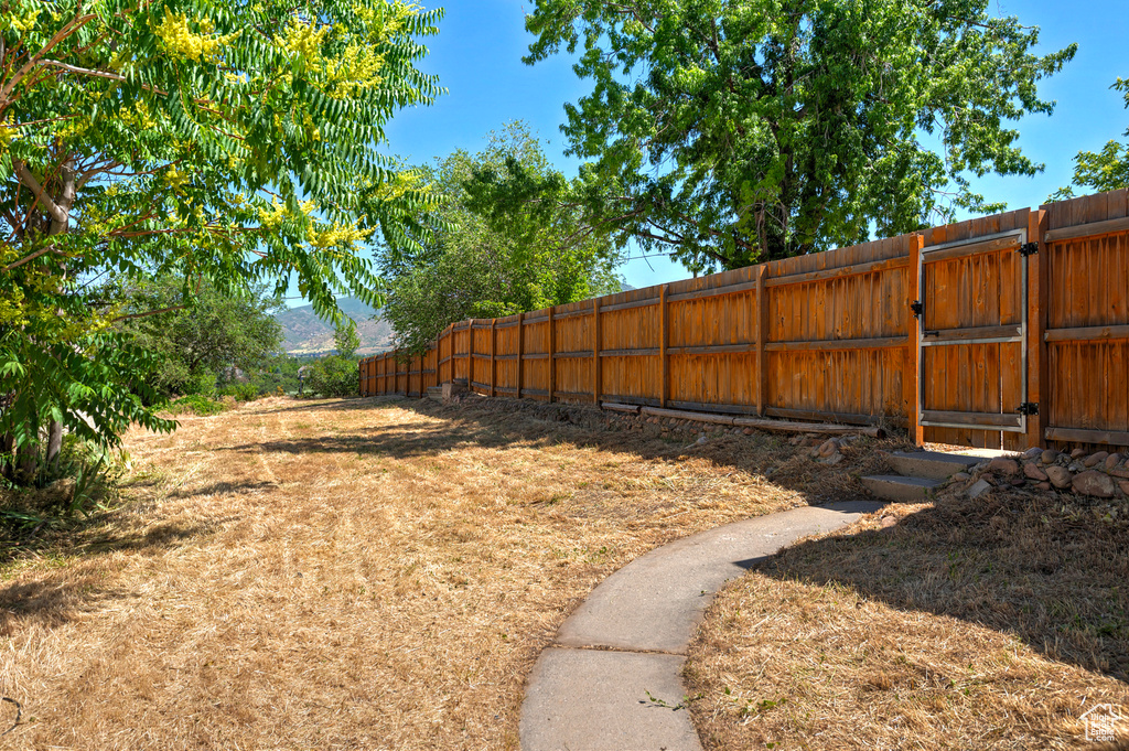 View of yard