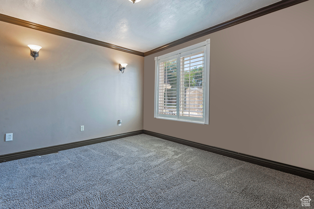 Carpeted empty room featuring crown molding