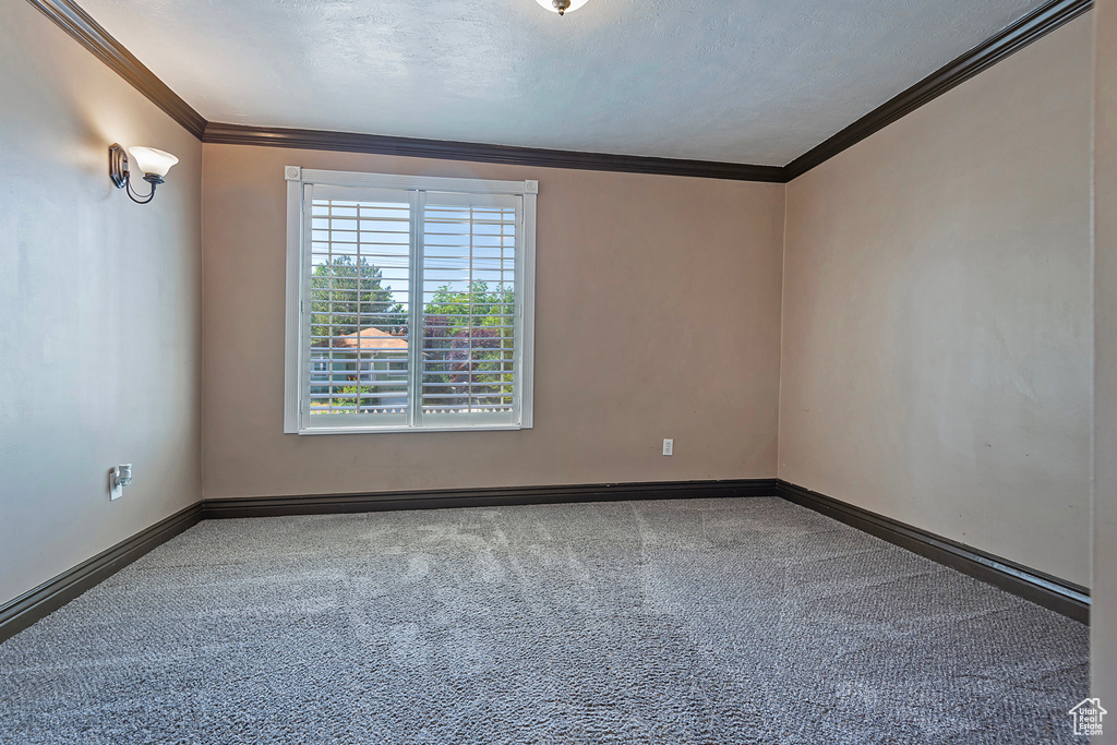 Carpeted empty room featuring crown molding