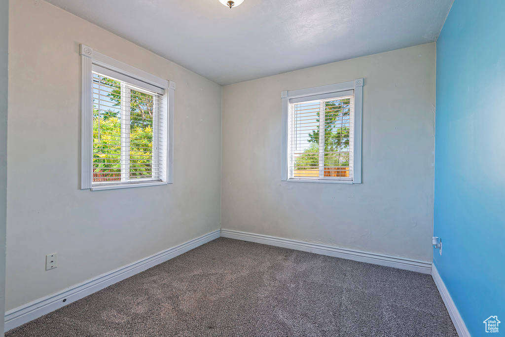 Carpeted empty room featuring a healthy amount of sunlight