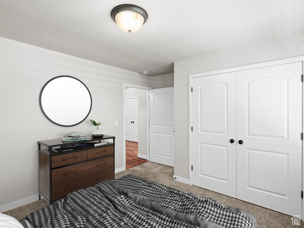 Bedroom with hardwood / wood-style floors and a closet