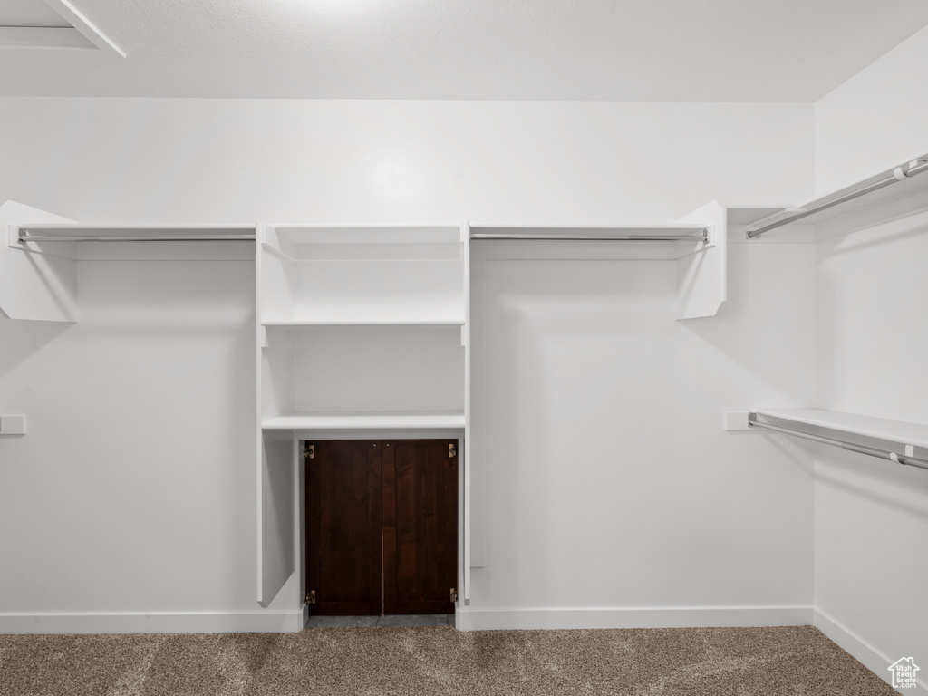 Spacious closet with carpet floors