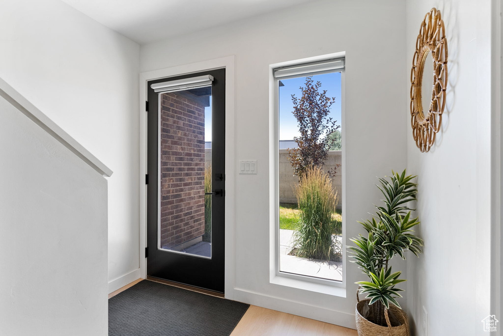 Foyer entrance featuring wood-type flooring and plenty of natural light