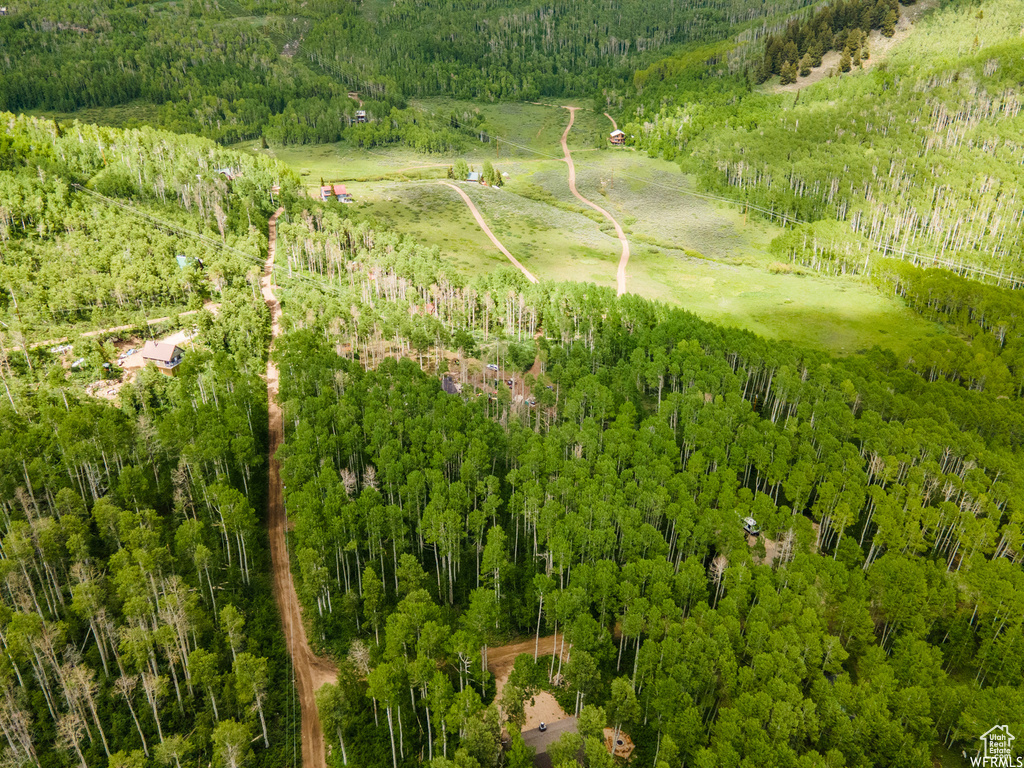 View of aerial view